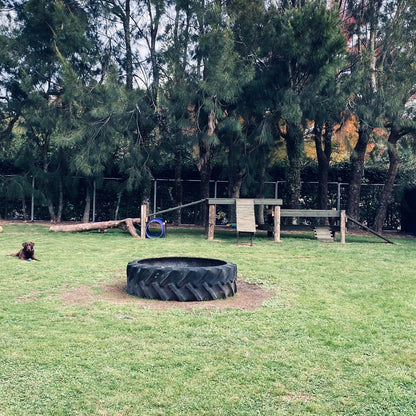 Field  2 (1 - 4 dogs)